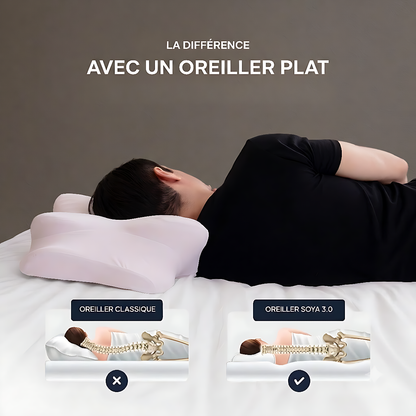 Oreiller Soya 3.0