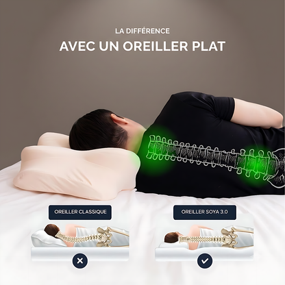 Oreiller Soya 3.0